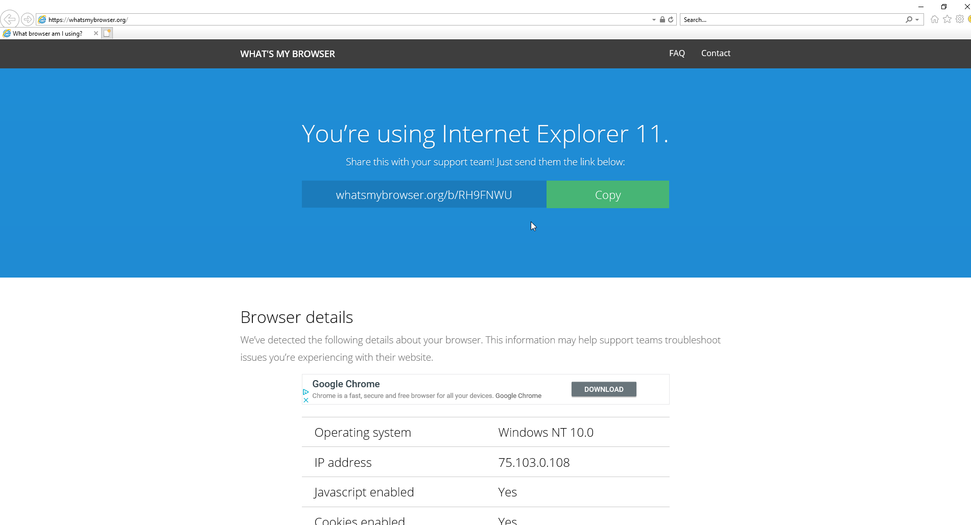 Browser_information.png